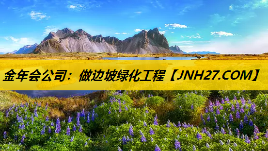 做边坡绿化工程