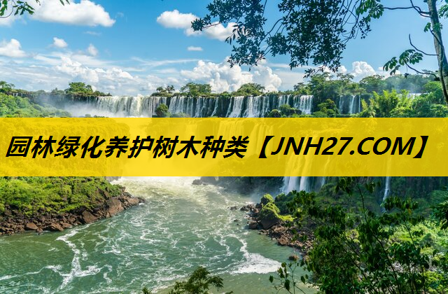 园林绿化养护树木种类