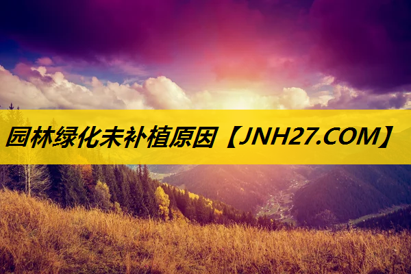园林绿化未补植原因