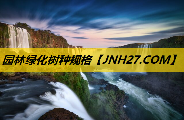 园林绿化树种规格