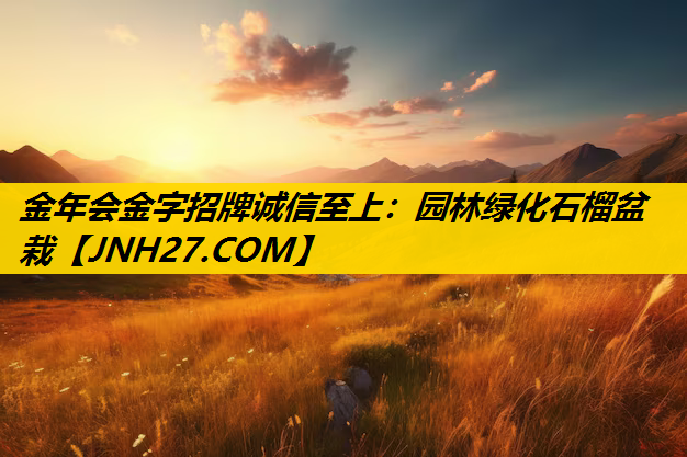 园林绿化石榴盆栽