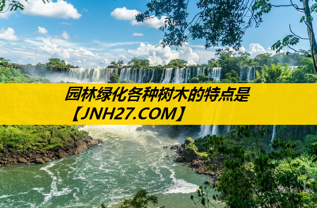 园林绿化各种树木的特点是