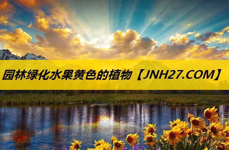 园林绿化水果黄色的植物