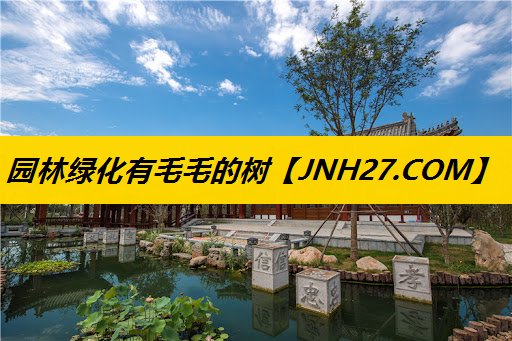 园林绿化有毛毛的树
