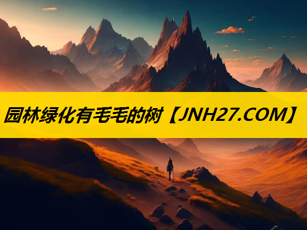 园林绿化有毛毛的树