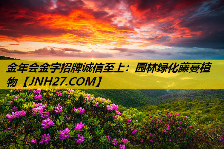 园林绿化藤蔓植物