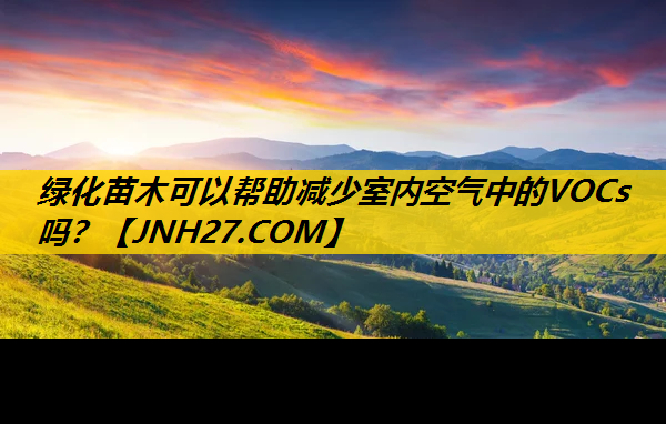 绿化苗木可以帮助减少室内空气中的VOCs吗？