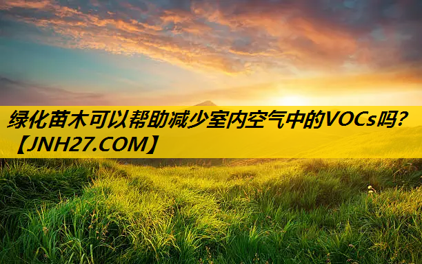 绿化苗木可以帮助减少室内空气中的VOCs吗？