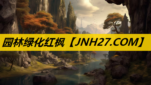 园林绿化红枫