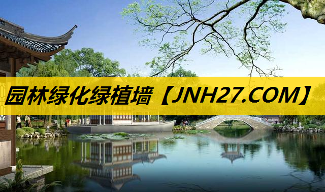 园林绿化绿植墙
