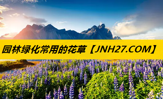 园林绿化常用的花草