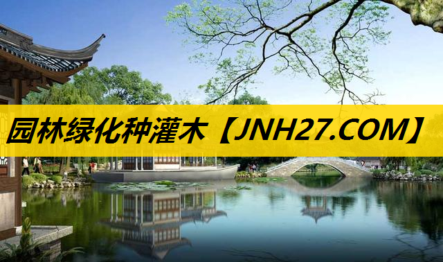 园林绿化种灌木