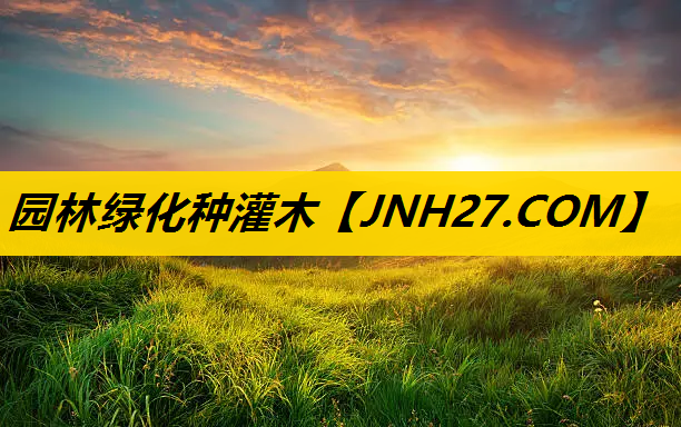 园林绿化种灌木
