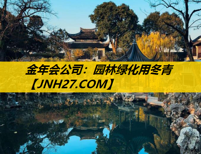 园林绿化用冬青