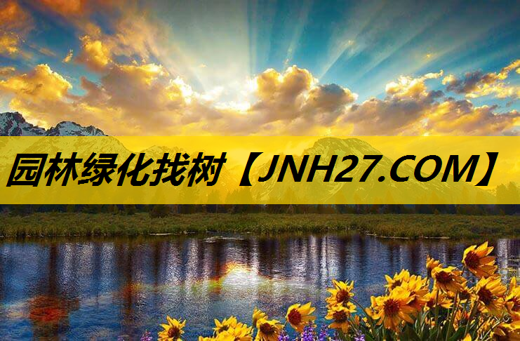 园林绿化找树