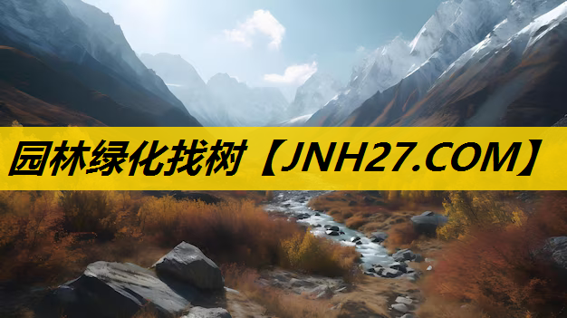 园林绿化找树