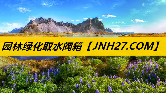 园林绿化取水阀箱