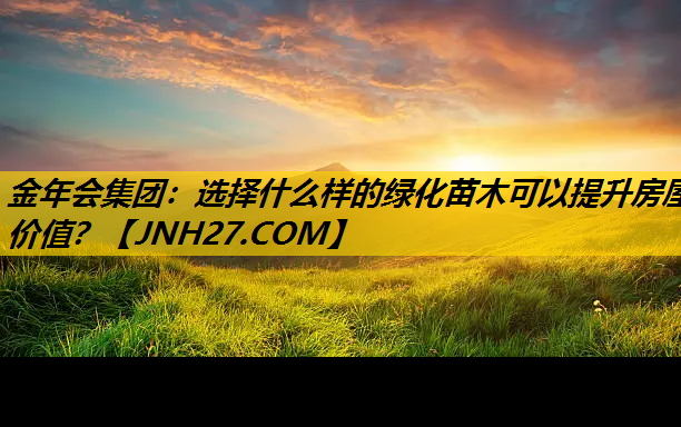 选择什么样的绿化苗木可以提升房屋价值？