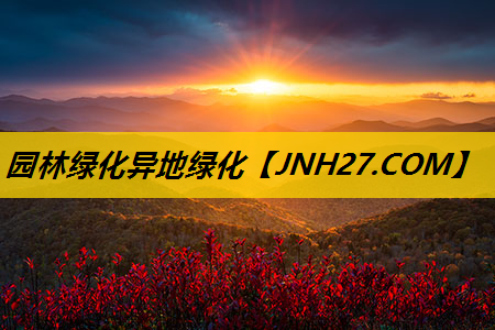 园林绿化异地绿化