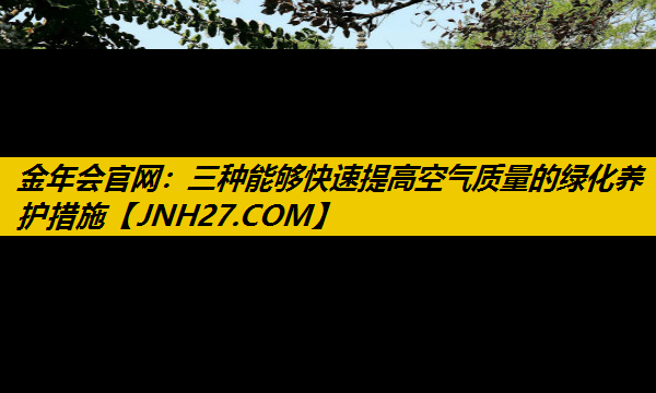 三种能够快速提高空气质量的绿化养护措施