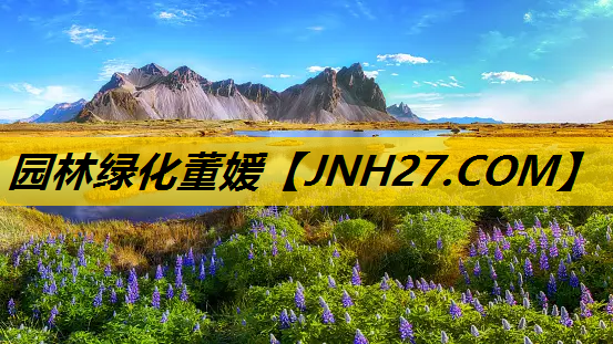 园林绿化董媛