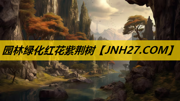园林绿化红花紫荆树