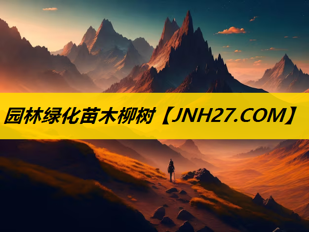 园林绿化苗木柳树