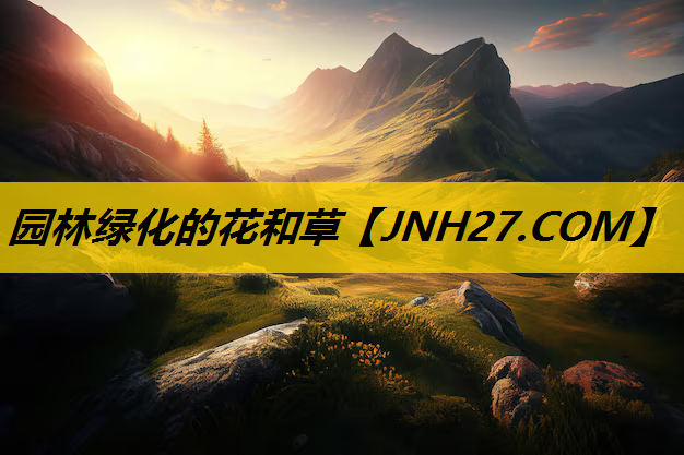 园林绿化的花和草