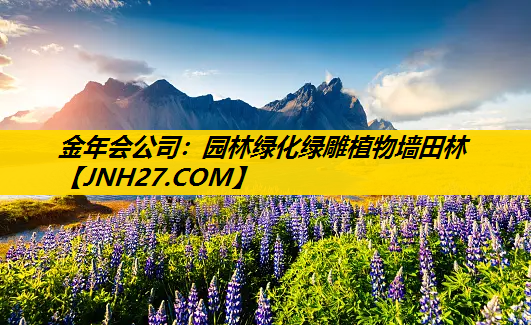 园林绿化绿雕植物墙田林