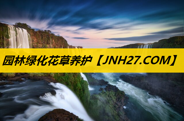 园林绿化花草养护