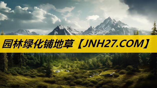 园林绿化铺地草