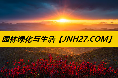 园林绿化与生活