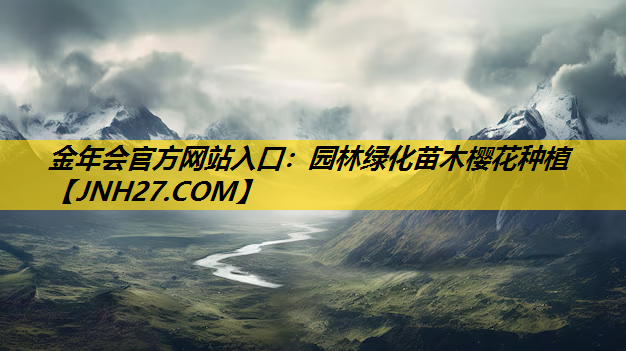 园林绿化苗木樱花种植