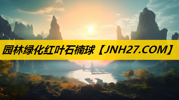 园林绿化红叶石楠球