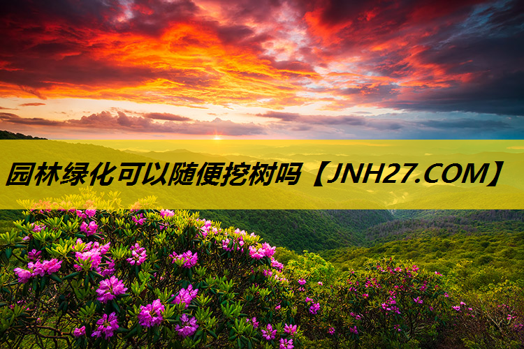 园林绿化可以随便挖树吗