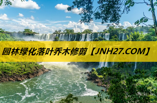 园林绿化落叶乔木修剪